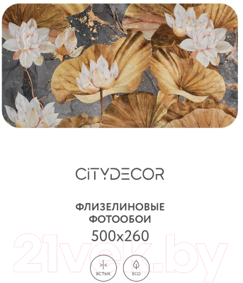 Фотообои листовые Citydecor Blossom 20 (500x260см)