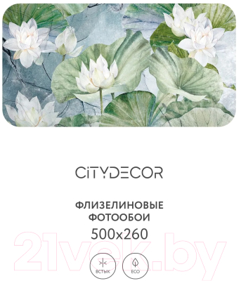 Фотообои листовые Citydecor Blossom 26 (500x260см)