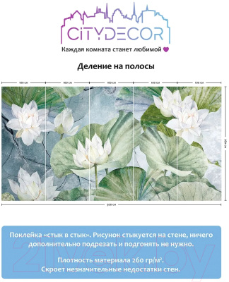 Фотообои листовые Citydecor Blossom 26 (500x260см)