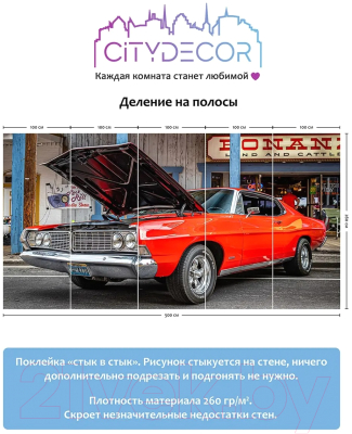 Фотообои листовые Citydecor Транспорт 149 (500x260см)
