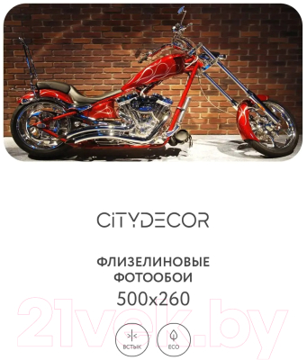 Фотообои листовые Citydecor Транспорт 23 (500x260см)
