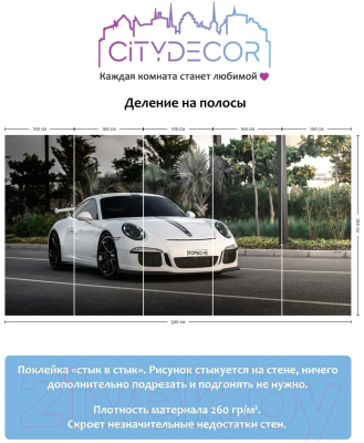 Фотообои листовые Citydecor Транспорт 3 (500x260см)