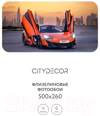 Фотообои листовые Citydecor Транспорт 5 (500x260см)