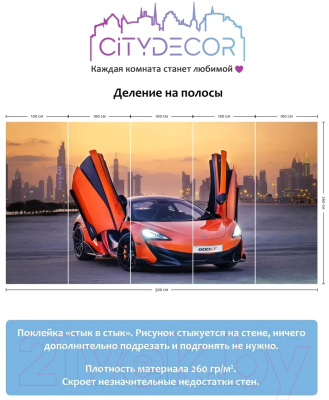 Фотообои листовые Citydecor Транспорт 5 (500x260см)