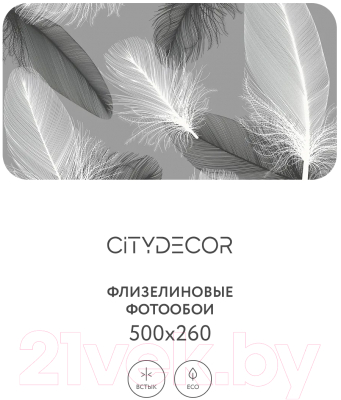 Фотообои листовые Citydecor Абстракция 390 (500x260см)