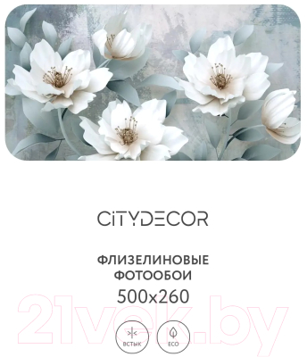 Фотообои листовые Citydecor Абстракция 41 (500x260см)