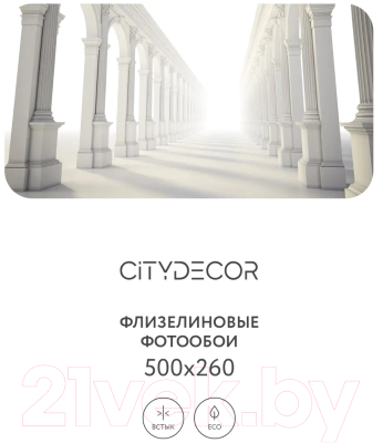 Фотообои листовые Citydecor Абстракция 53 (500x260см)
