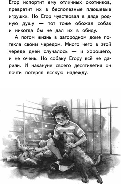 Книга Питер Мой пес Тайфун твердая обложка (Русинова Евгения)