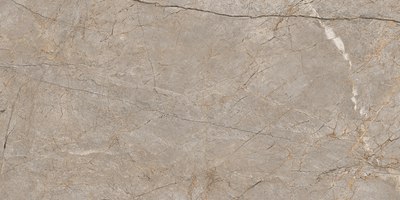 Плитка Cersanit Silver Roots 17124 (600x1200, серый) - 