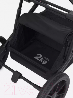 Детская универсальная коляска Rant Basic Nexus 2 в 1 / RA106 (черный)