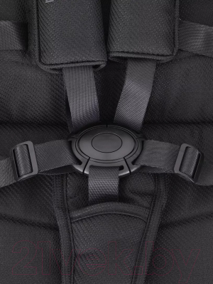 Детская универсальная коляска Rant Basic Nexus 2 в 1 / RA106 (черный)