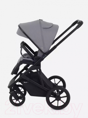Детская универсальная коляска Rant Basic Nexus 2 в 1 / RA106 (облако/серый)