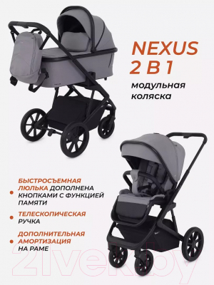 Детская универсальная коляска Rant Basic Nexus 2 в 1 / RA106 (облако/серый)