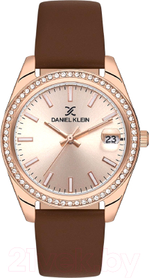 Часы наручные женские Daniel Klein 13597-6