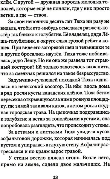 Книга Никея Миры за стеной. Стекло старьевщика твердая обложка (Смирнова Оксана)