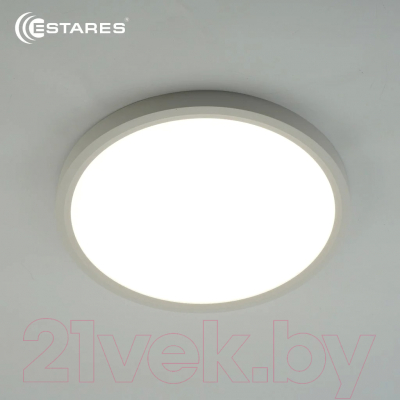 Потолочный светильник Estares Round 28W R-300x25-WHITE/WHITE-220-IP44 4000K