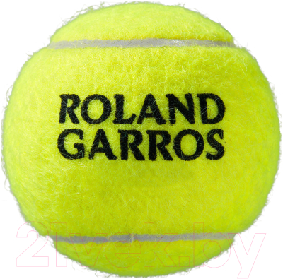 Набор теннисных мячей Wilson Roland Garros Clay / WRT115000 (4шт)