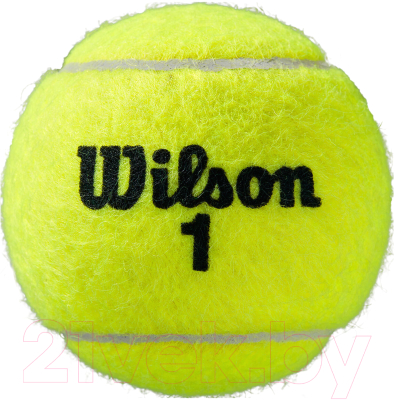 Набор теннисных мячей Wilson Roland Garros Clay / WRT115000 (4шт)