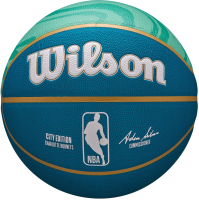 Баскетбольный мяч Wilson 2023 Nba Team City Collector Char Hor / WZ4024104XB7 (размер 7) - 