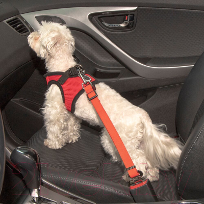 Ремень безопасности для собак Puppia PATA-SL1717-RD-M (красный)