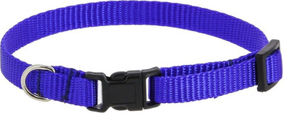 Ошейник КАСКАД Капрон с пряжкой-защелкой / 06110200-06 (синий) -