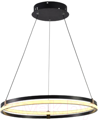 Потолочный светильник Aitin-Pro D18114/1 (черный/золото)