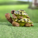Миниатюра изображения товара Фигурка для сада Take It Easy Черепашки / 10122682