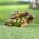 Миниатюра изображения товара Фигурка для сада Take It Easy Черепашки / 10122682