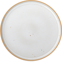Тарелка столовая обеденная Portmeirion Минералы Лунный камень / PRT-MNMS79437-XL-1 - 
