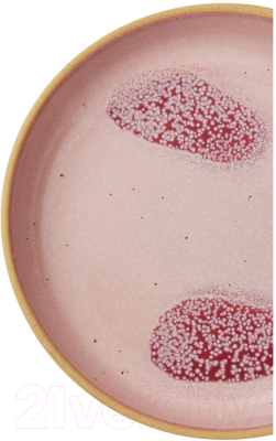 Тарелка столовая глубокая Portmeirion Минералы Розовый кварц / PRT-MNRQ79440-XL-1