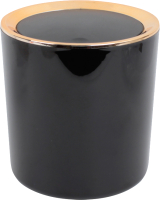 Контейнер для мусора Darvish DV-H-1843-2 (черный) - 
