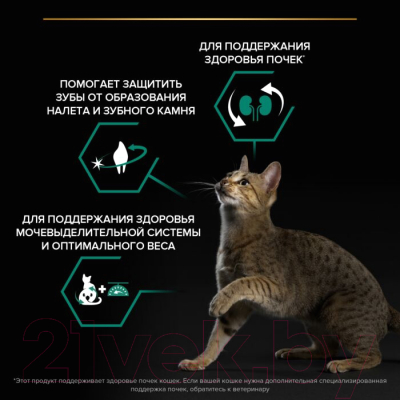 Сухой корм для кошек Pro Plan Sterilised OptiRenal Adult с лососем (10кг)