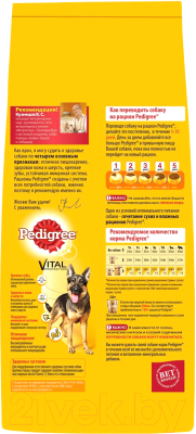 Сухой корм для собак Pedigree Для взрослых собак крупных пород с говядиной, рисом и овощами (13 кг)