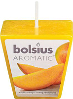

Свеча Bolsius, Манго / 47/47