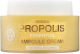 Крем для лица Giinsu Propolis Essential Ampoule Cream (65мл) - 