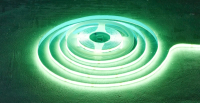 Светодиодная лента Rexant 147-113 (зеленый) - 