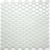 Мозаика Gidrostroy Glass Mosaic TN-004 (300x300, белый) - 