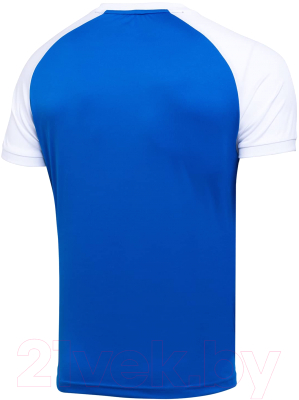Футболка игровая футбольная Jogel Camp Reglan Jersey / JFT-1021-K (YS, синий/белый)