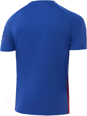 Футболка игровая футбольная Jogel Camp Striped Jersey / JC1ST0121.ZR (L, красный/синий)