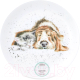 Тарелка закусочная (десертная) Royal Worcester Забавная фауна Сладкий сон / WNSM5658-XL - 