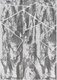 Ковер Bossan Rome 4188B-BEYAZ-AGRI (1.6x3) - 