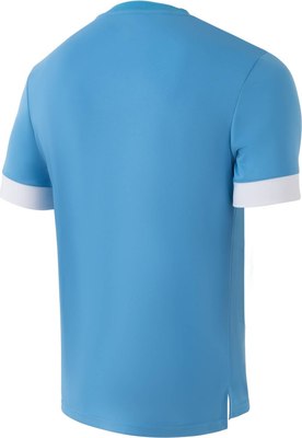 Футболка игровая футбольная Jogel Division PerFormDRY Union Jersey (L, голубой/белый/белый)