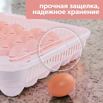 Контейнер Hobby Life Для хранения яиц HL021053