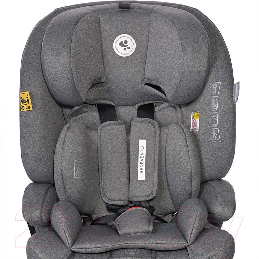 Автокресло Lorelli Benevento Isofix Grey / 10071772406