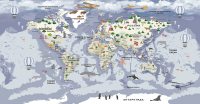 Фотообои листовые Citydecor Детская Карта мира 340 (500x260см) - 