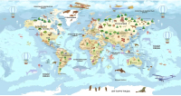 Фотообои листовые Citydecor Детская Карта мира 343 (500x260см) - 