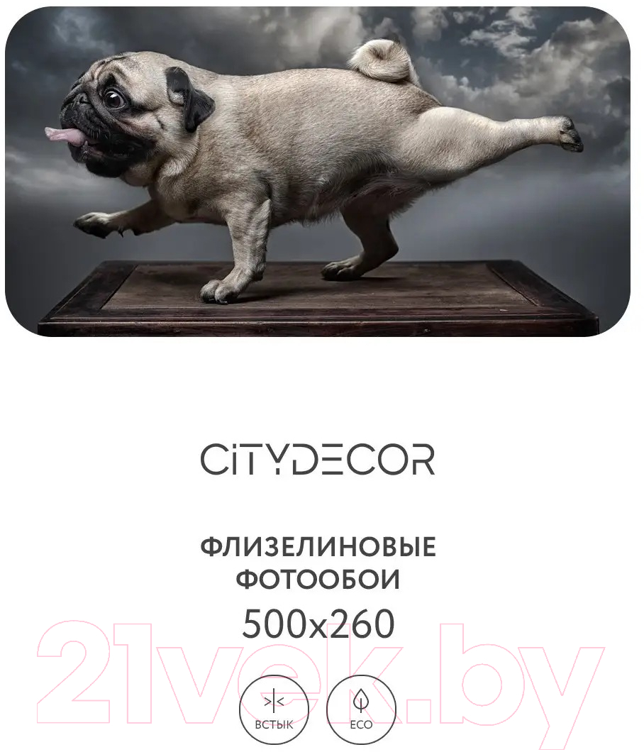 Фотообои листовые Citydecor Животные и птицы 13