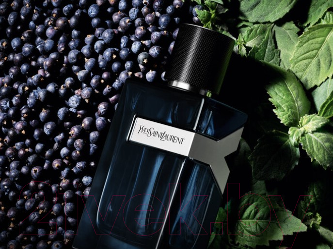 Парфюмерная вода Yves Saint Laurent Y Intense