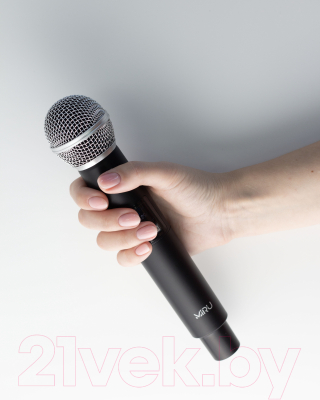 Радиосистема микрофонная Miru MIC001