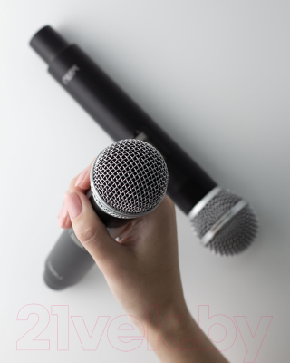 Радиосистема микрофонная Miru MIC001